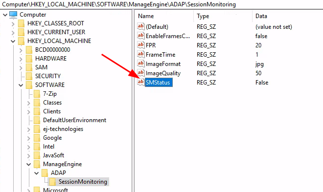 registry-showing-how-to-enable-sessionmonitoring